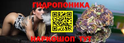 амф Ликино-Дулёво
