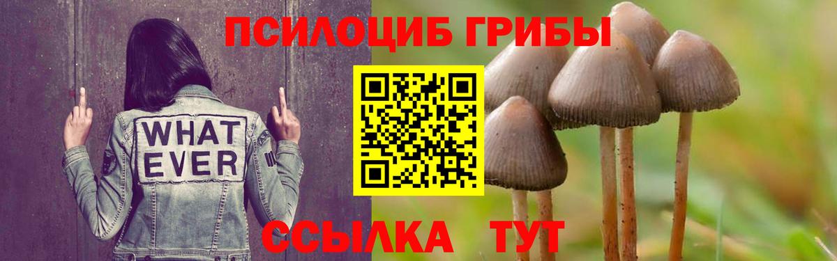 Галлюциногенные грибы мухоморы  Галлюциногенные грибы прущие грибы  Джанкой  Вход с VPN 